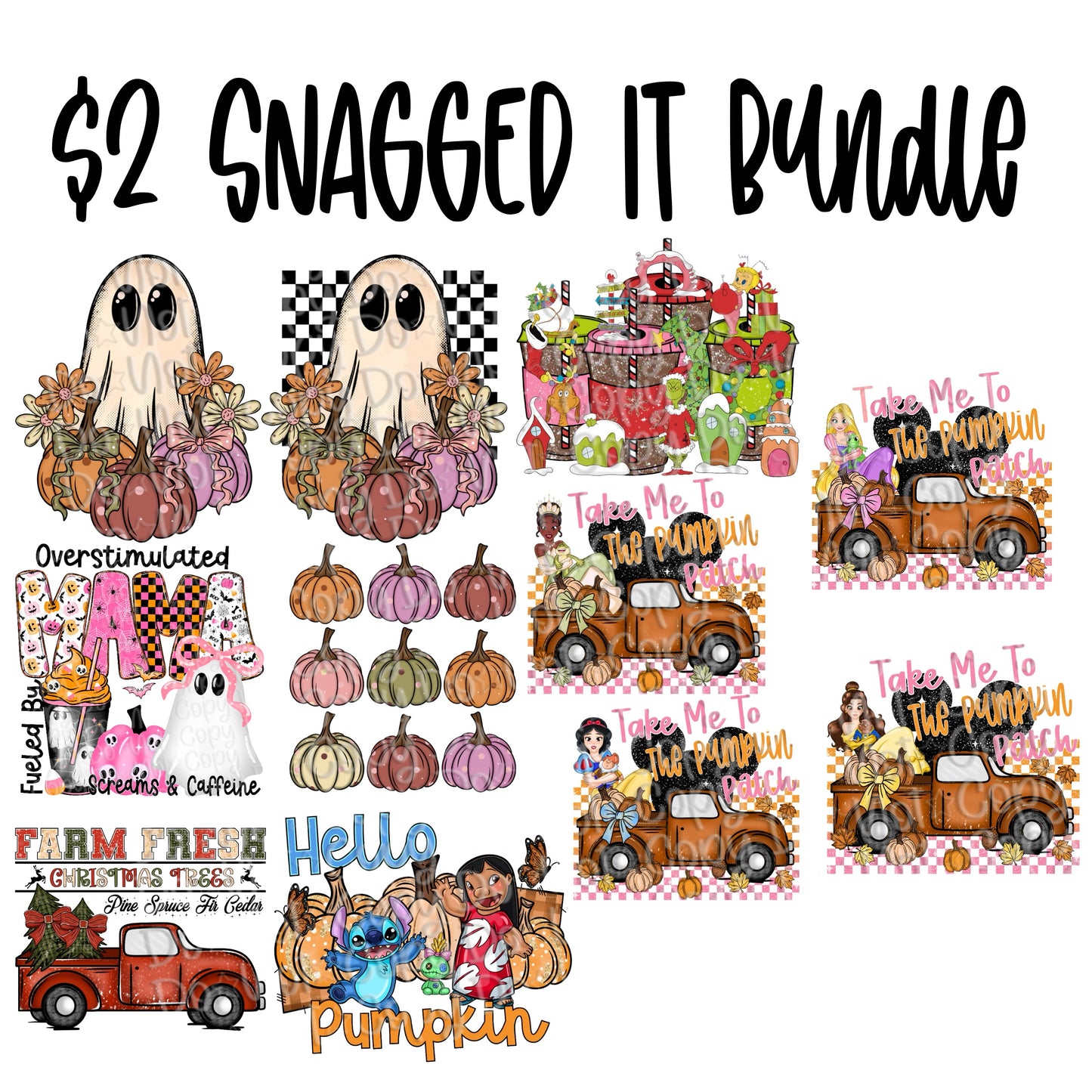 Two Dollar Snagged It Bundle- July 28th 2025