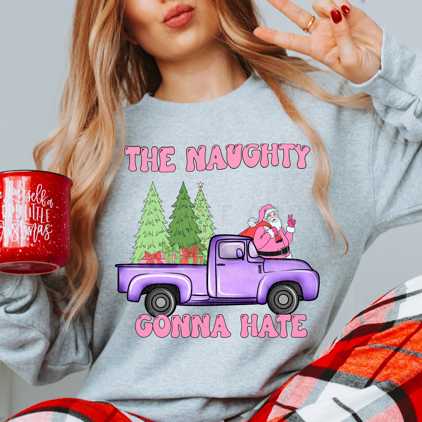 The Naughty Gonna Hate